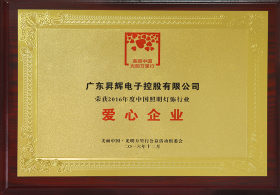 2016年度中國照明燈飾行業愛心企業 2016年度中國照明燈飾行業愛心企業